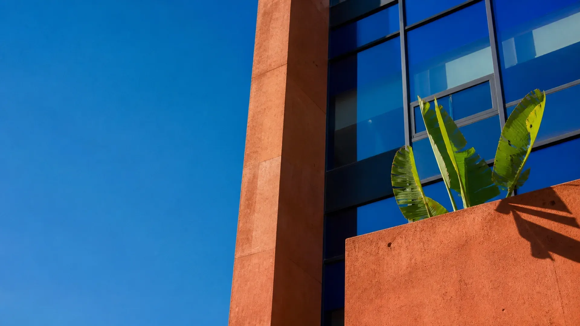 Terracotta planes and cobalt glazing under leaf shadow